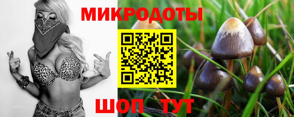 Галлюциногенные грибы MAGIC MUSHROOMS  Галлюциногенные грибы MAGIC MUSHROOMS  Вход с VPN  Татарск 
