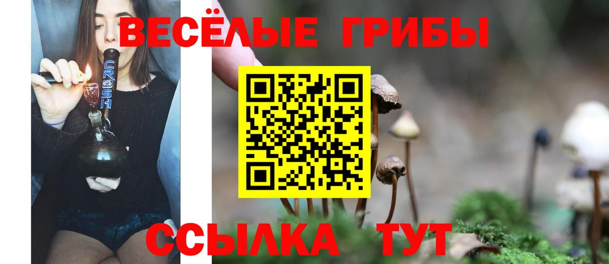 Псилоцибиновые грибы GOLDEN TEACHER Татарск